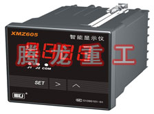 溫度表、數(shù)字顯示儀、濕度表