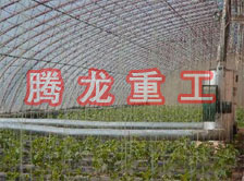 大棚花卉供暖設(shè)備、大棚卉采暖設(shè)備、大棚花卉取暖設(shè)備